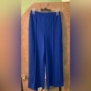 H&M Blue Wide Leg Pants